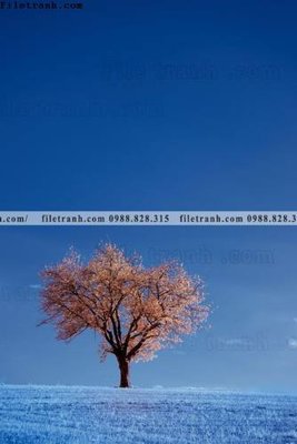 Ảnh gốc tranh loi vao phong canh doc 601 (độ nét cao) in tráng gương