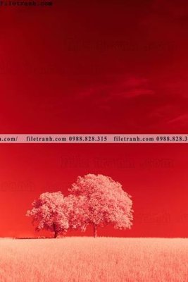 Download file gốc tranh loi vao phong canh doc 608 (in lụa) cao cấp