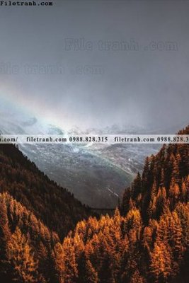 File tranh tranh phong canh rung loi vao 512 (bản gốc) treo quán cafe