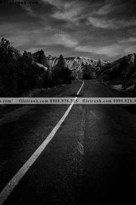 Download file gốc tranh phong canh rung loi vao 546 (in mica) trang trí