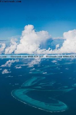 File in trần tranh phong canh rung loi vao 548 (file gốc) hoa văn 3D