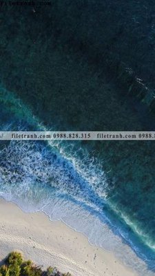 Download file gốc tranh phong canh rung loi vao 552 (độ nét cao)