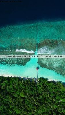 File in trần tranh phong canh rung loi vao 554 (file gốc) phong thủy