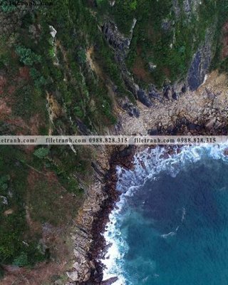 Tải file gốc tranh phong canh rung loi vao 568 dùng cho in ấn