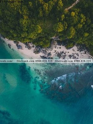 File in trần tranh phong canh rung loi vao 595 (bản gốc) bầu trời