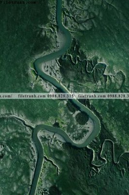 File tranh tranh phong canh rung loi vao 622 (gốc) chủ đề thiên nhiên