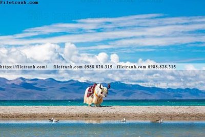 Tải về file gốc tranh phong canh tay tang 216 (dùng cho in quảng cáo)