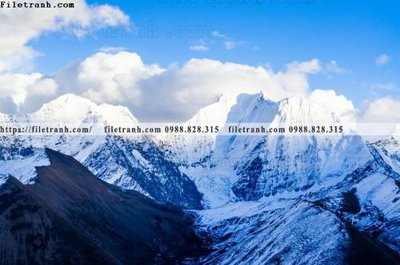 File in trần tranh phong canh tay tang 220 (bản gốc) trời sao