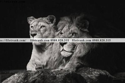 File tranh quảng cáo tranh su tu dep 610 (download file gốc)