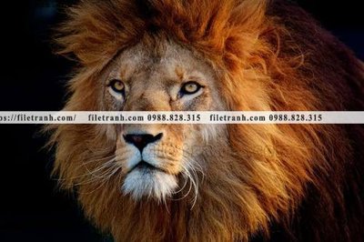 File tranh tranh su tu dep 620 (gốc) in film