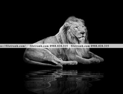 File tranh quảng cáo tranh su tu dep 626 (download file gốc)