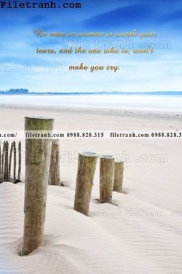 File gốc tranh trang tri bac au dep 139 (in lụa) hoa văn cổ điển