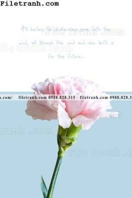 File tranh tranh trang tri bac au dep 243 (bản gốc) in lụa dán tường