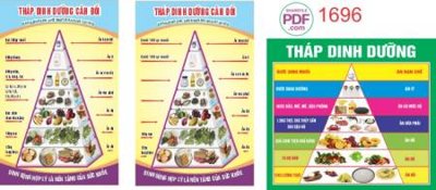 Hình ảnh gốc thap dinh duong can doi 2 (để in khổ lớn)