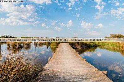 Download file gốc truc quan ve phong canh 129 (độ nét cao)