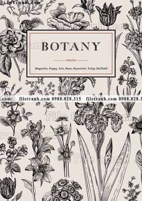 File gốc vector hoa don gian co dien chau au 1552 (PNG) trong suốt (transparent)